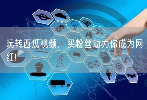 玩转西瓜视频，买粉丝助力你成为网红!