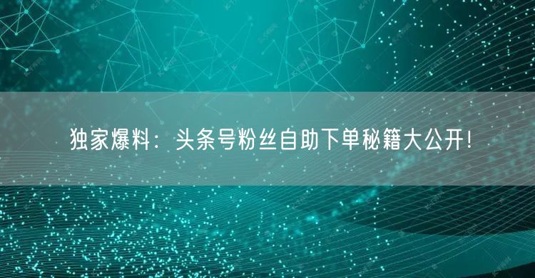 独家爆料：头条号粉丝自助下单秘籍大公开！