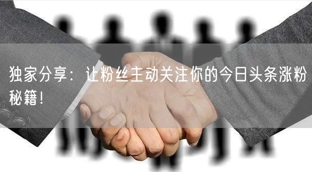 独家分享：让粉丝主动关注你的今日头条涨粉秘籍！
