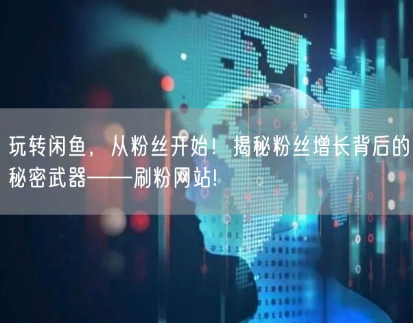 玩转闲鱼，从粉丝开始！揭秘粉丝增长背后的秘密武器——刷粉网站!