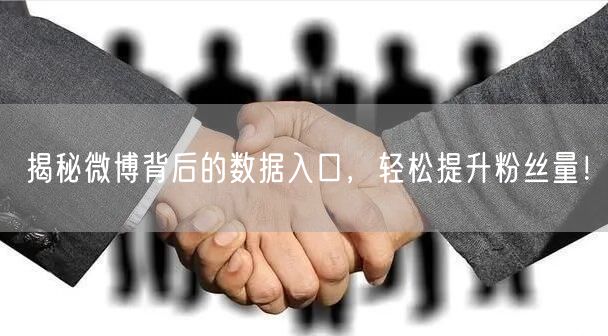 揭秘微博背后的数据入口，轻松提升粉丝量！