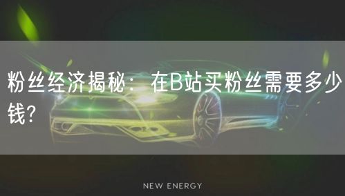 粉丝经济揭秘：在B站买粉丝需要多少钱?