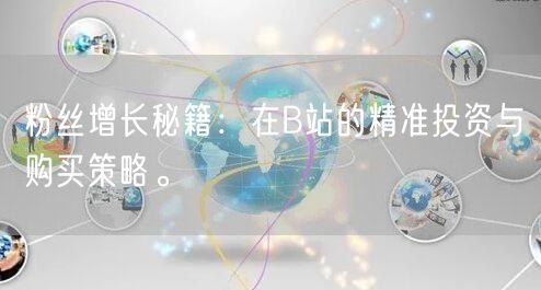 粉丝增长秘籍：在B站的精准投资与购买策略。