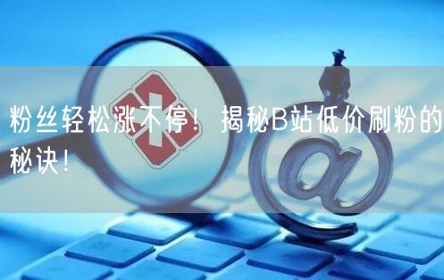 粉丝轻松涨不停！揭秘B站低价刷粉的秘诀！