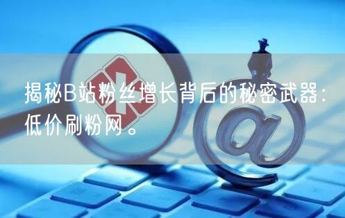 揭秘B站粉丝增长背后的秘密武器：低价刷粉网。