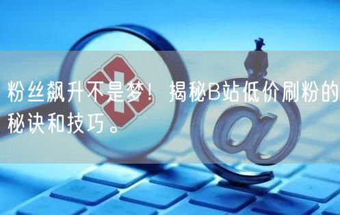 粉丝飙升不是梦！揭秘B站低价刷粉的秘诀和技巧。