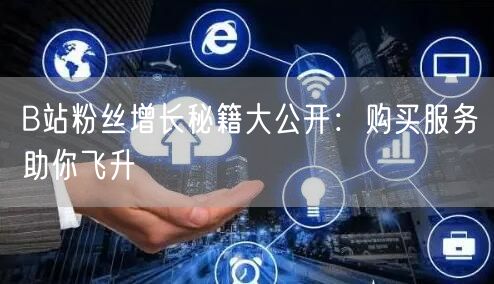 B站粉丝增长秘籍大公开：购买服务助你飞升
