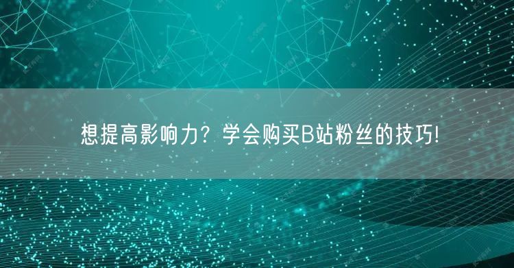 想提高影响力？学会购买B站粉丝的技巧!