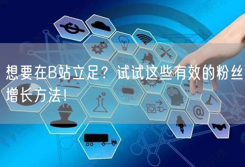 想要在B站立足？试试这些有效的粉丝增长方法！