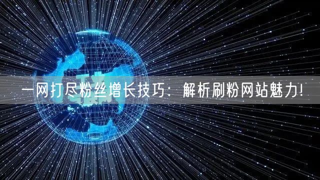 一网打尽粉丝增长技巧：解析刷粉网站魅力！