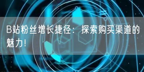 B站粉丝增长捷径：探索购买渠道的魅力！