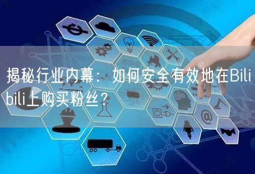 揭秘行业内幕：如何安全有效地在Bilibili上购买粉丝？