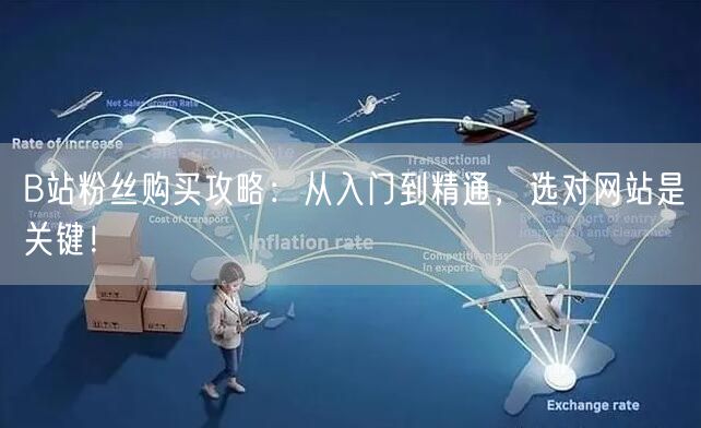 B站粉丝购买攻略：从入门到精通，选对网站是关键！