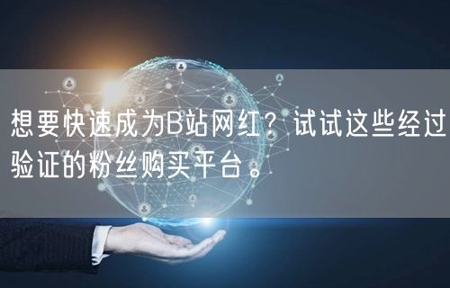 想要快速成为B站网红？试试这些经过验证的粉丝购买平台。