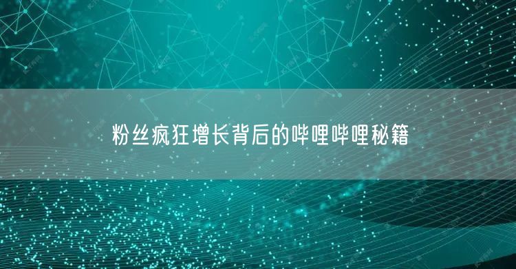 粉丝疯狂增长背后的哔哩哔哩秘籍