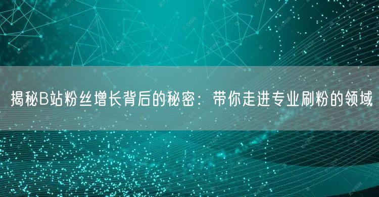 揭秘B站粉丝增长背后的秘密：带你走进专业刷粉的领域