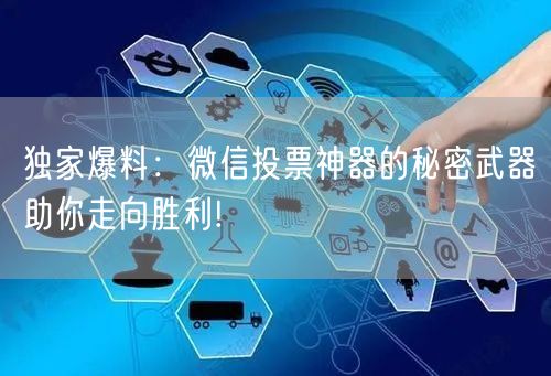 独家爆料：微信投票神器的秘密武器助你走向胜利!