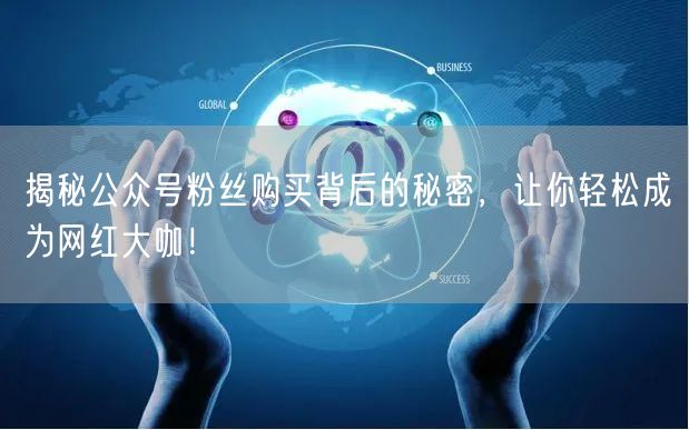 揭秘公众号粉丝购买背后的秘密，让你轻松成为网红大咖！