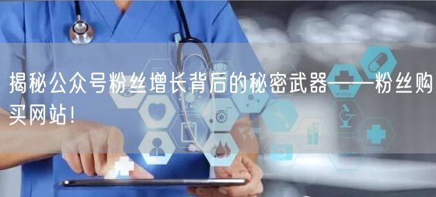 揭秘公众号粉丝增长背后的秘密武器——粉丝购买网站！