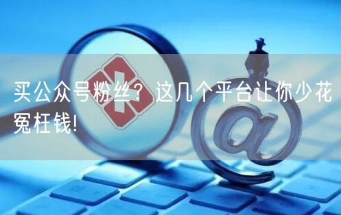 买公众号粉丝？这几个平台让你少花冤枉钱!