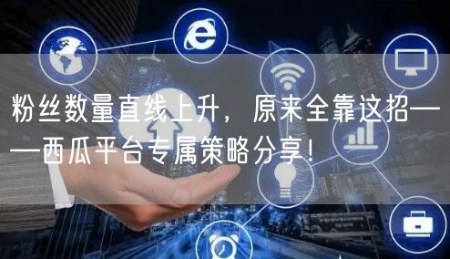 粉丝数量直线上升，原来全靠这招——西瓜平台专属策略分享！