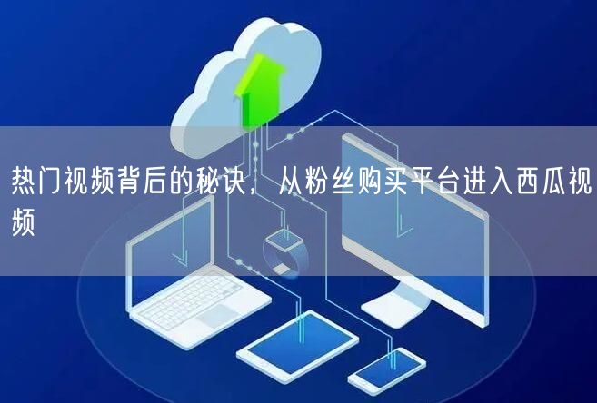 热门视频背后的秘诀，从粉丝购买平台进入西瓜视频