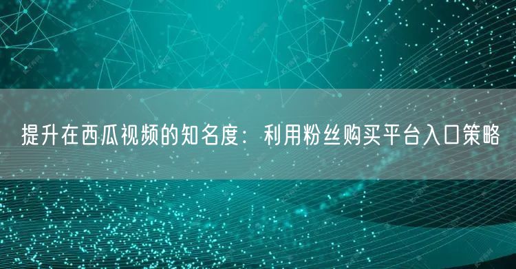 提升在西瓜视频的知名度：利用粉丝购买平台入口策略