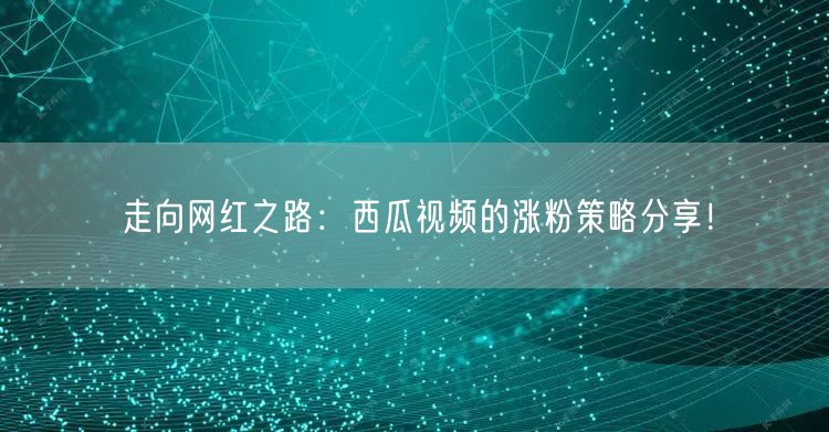 走向网红之路：西瓜视频的涨粉策略分享！