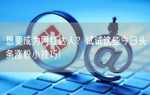 想要成为网红达人？试试这些今日头条涨粉小技巧!