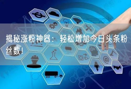 揭秘涨粉神器：轻松增加今日头条粉丝数！
