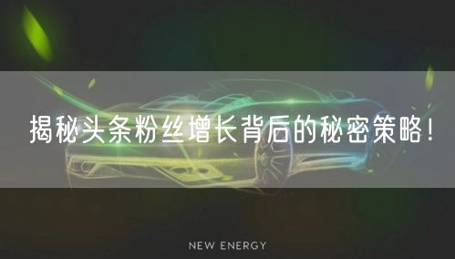 揭秘头条粉丝增长背后的秘密策略！