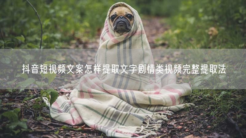 抖音短视频文案怎样提取文字剧情类视频完整提取法