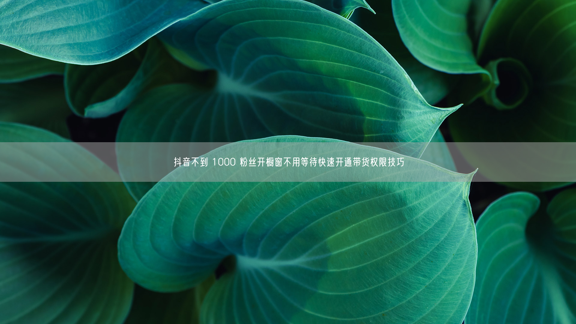 抖音不到 1000 粉丝开橱窗不用等待快速开通带货权限技巧