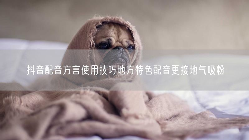 抖音配音方言使用技巧地方特色配音更接地气吸粉