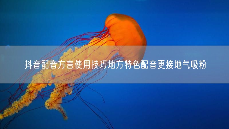 抖音配音方言使用技巧地方特色配音更接地气吸粉