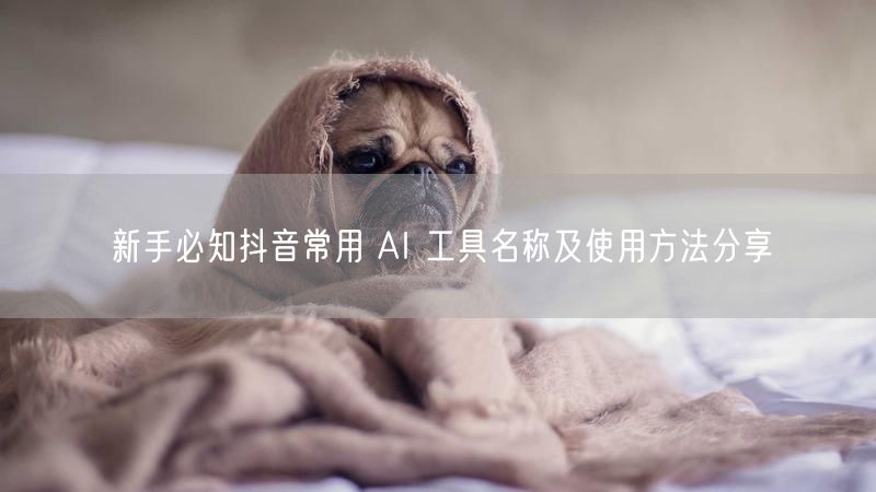 新手必知抖音常用 AI 工具名称及使用方法分享