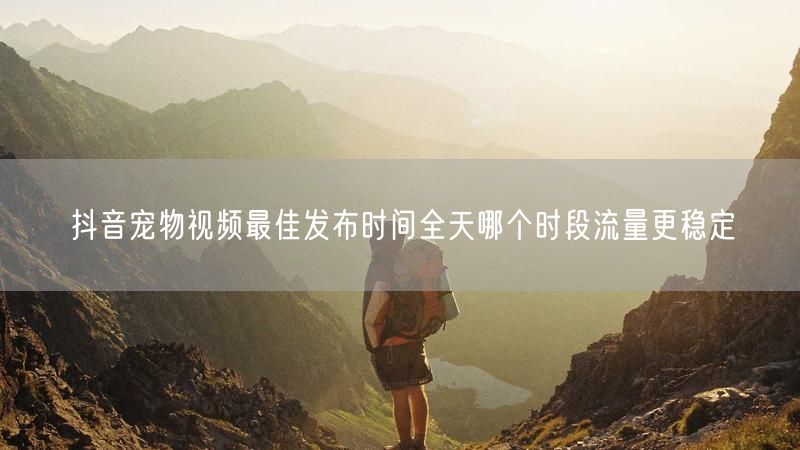 抖音宠物视频最佳发布时间全天哪个时段流量更稳定