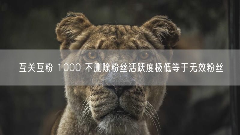 互关互粉 1000 不删除粉丝活跃度极低等于无效粉丝