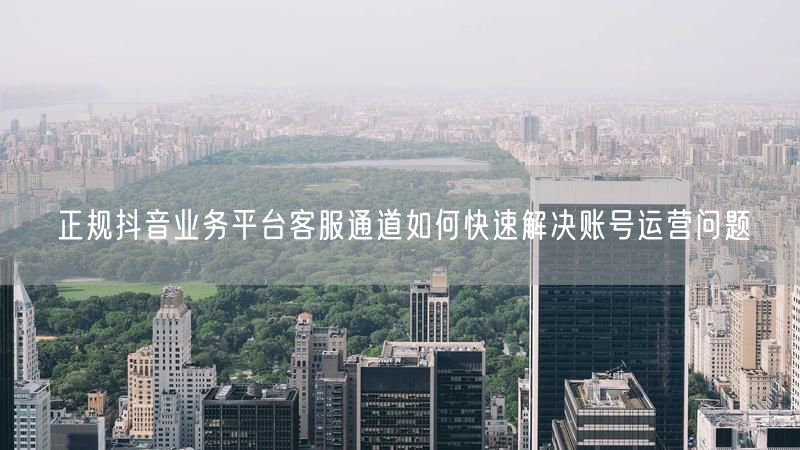 正规抖音业务平台客服通道如何快速解决账号运营问题