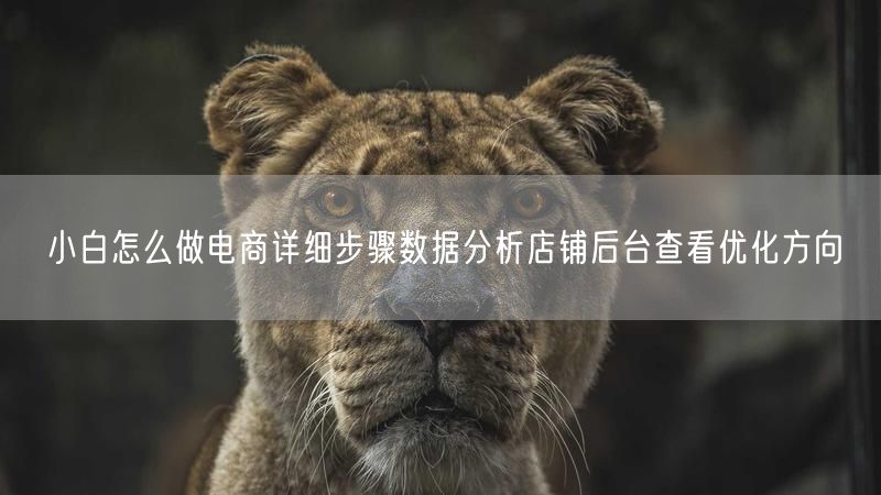 小白怎么做电商详细步骤数据分析店铺后台查看优化方向