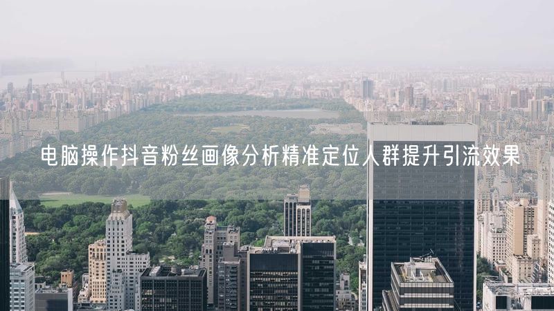 电脑操作抖音粉丝画像分析精准定位人群提升引流效果