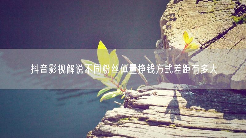 抖音影视解说不同粉丝体量挣钱方式差距有多大