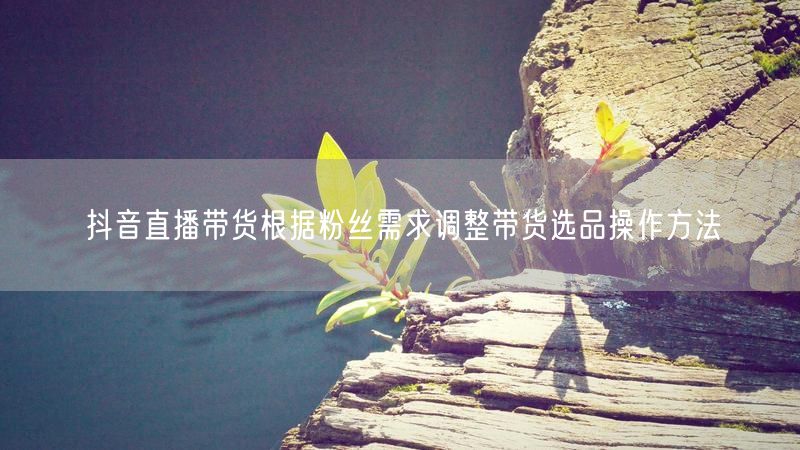 抖音直播带货根据粉丝需求调整带货选品操作方法