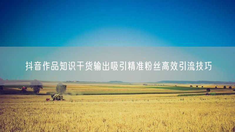 抖音作品知识干货输出吸引精准粉丝高效引流技巧