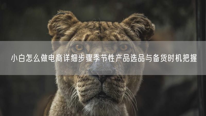 小白怎么做电商详细步骤季节性产品选品与备货时机把握
