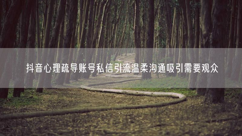 抖音心理疏导账号私信引流温柔沟通吸引需要观众