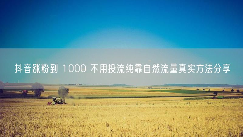 抖音涨粉到 1000 不用投流纯靠自然流量真实方法分享