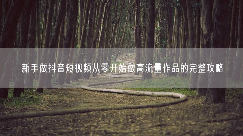 新手做抖音短视频从零开始做高流量作品的完整攻略