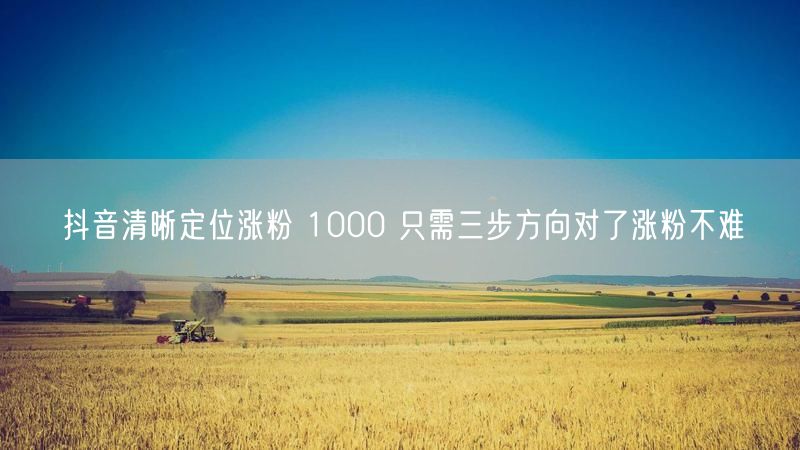 抖音清晰定位涨粉 1000 只需三步方向对了涨粉不难