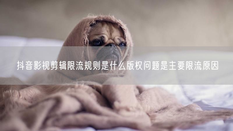 抖音影视剪辑限流规则是什么版权问题是主要限流原因